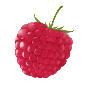 Voice assistant capstone — Raspberry Pi build